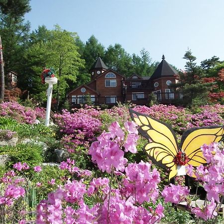 Elf Resort Hotel Pyeongchang Buitenkant foto