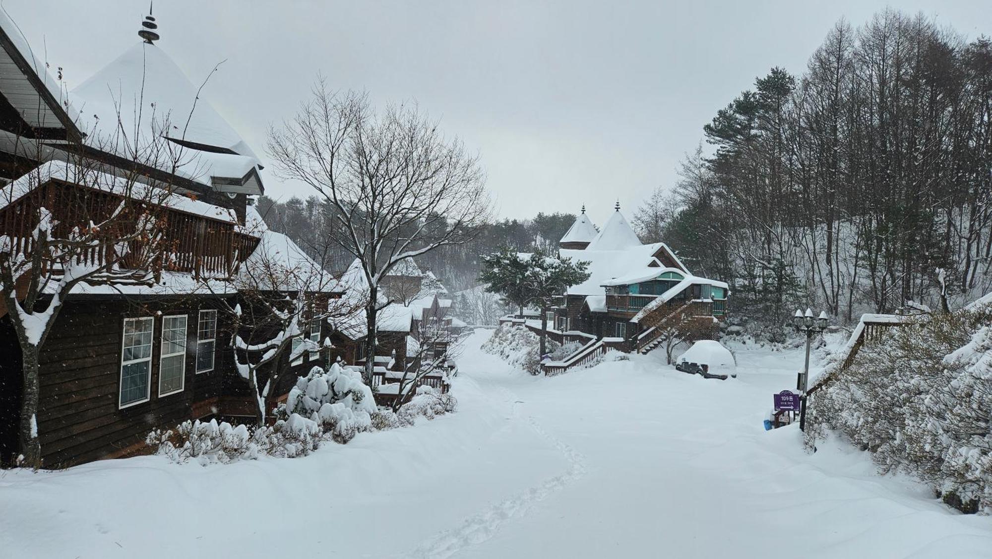 Elf Resort Hotel Pyeongchang Buitenkant foto