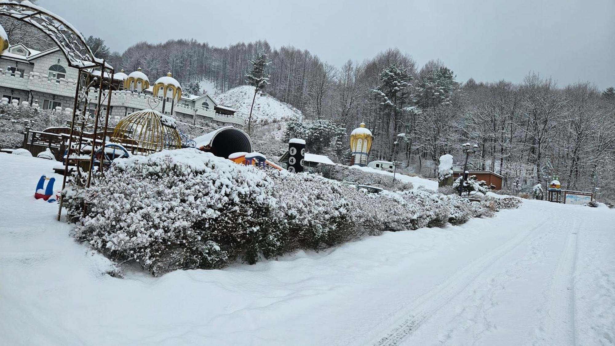 Elf Resort Hotel Pyeongchang Buitenkant foto